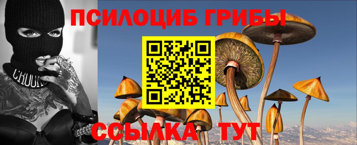 Псилоцибиновые грибы Psilocybine cubensis  Вход с VPN  Тайшет  Галлюциногенные грибы мухоморы 
